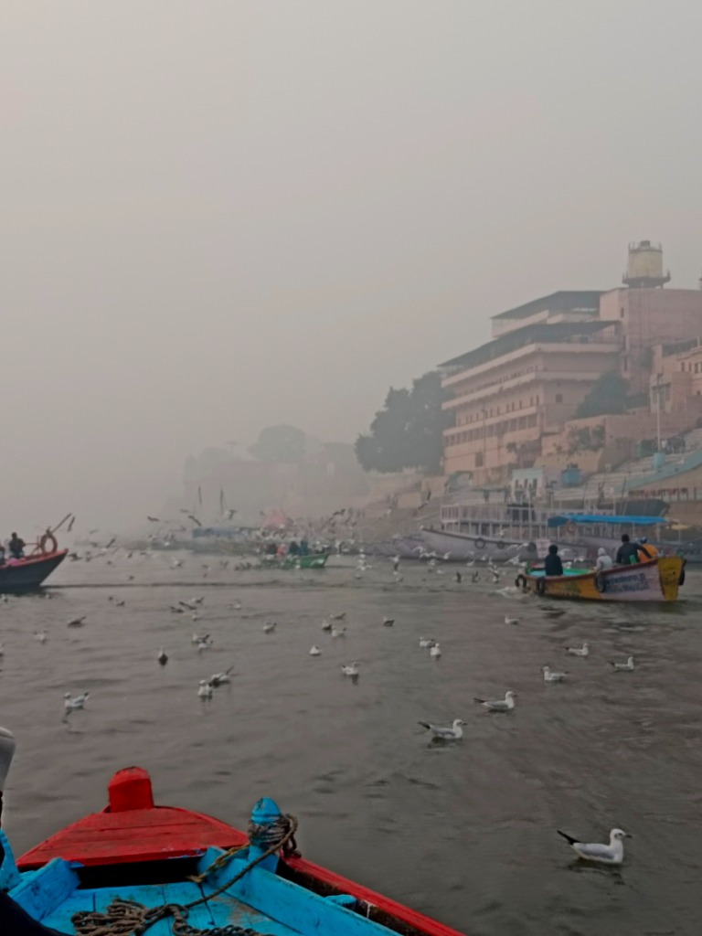 Varanasi Ganges River Morning Boat Ride & Migratory Seagulls